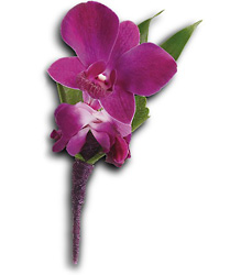 Perfect Purple Orchid Boutonniere from Parkway Florist in Pittsburgh PA